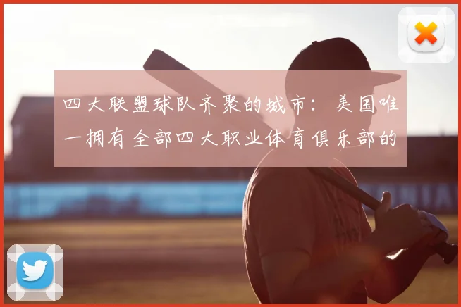 四大联盟球队齐聚的城市:美国唯一拥有全部四大职业体育俱乐部的都市